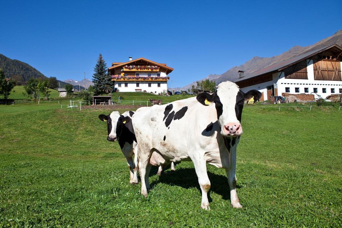 Schneiderhof, Chalet, Urlaub Auf Dem Bauernhof รีดันนา ภายนอก รูปภาพ